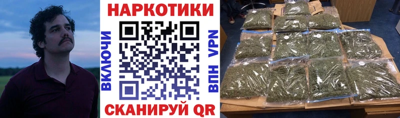 Где купить Карачаевск Alpha-PVP  Кетамин  Псилоцибиновые грибы  ГАШИШ  Меф  МАРИХУАНА 
