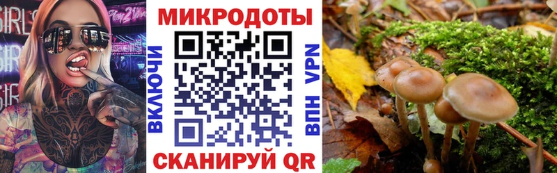 ОМГ ОМГ зеркало  Карачаевск  Галлюциногенные грибы Psilocybine cubensis 